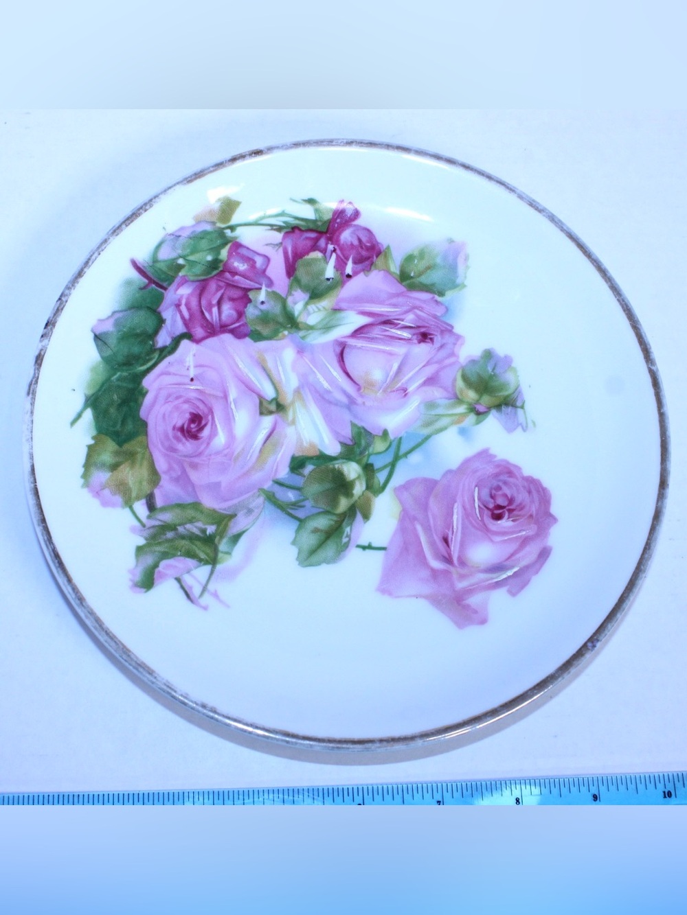 C.T. Altwasser Porcelain Plate with Floral Backstamp
